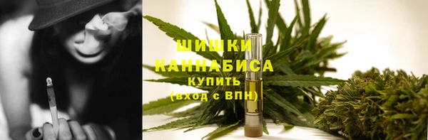 спайс Арсеньев