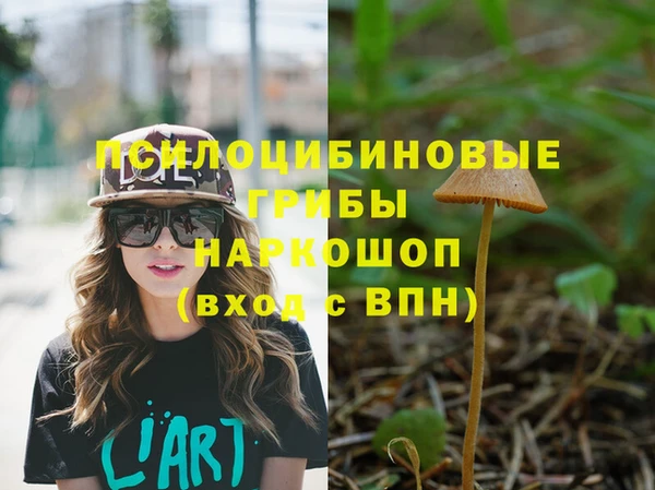 кокс Алзамай